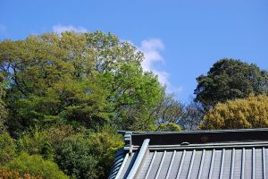 高松寺